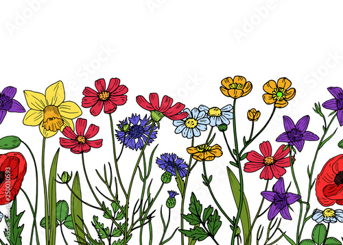 Wild flowers seamless border. Field of meadow herb floral vintage spring vector wallpaper. Blossom spring colored, banner with leaf and flowers illustration