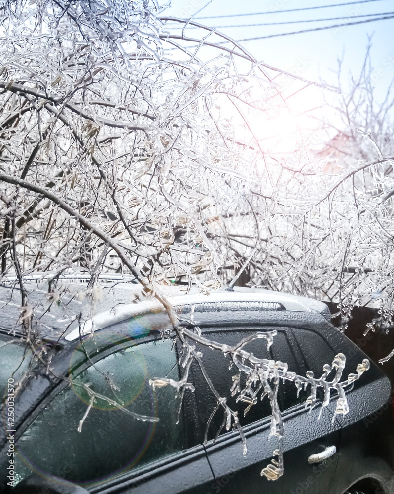 Car on the street covered by icy rain. frozen branch with ice. Icicle. ice storm. selective focus