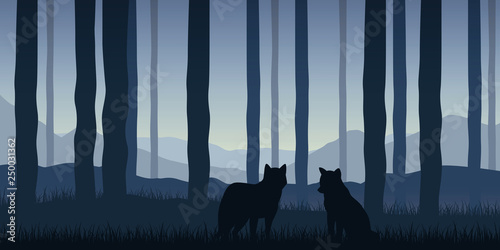 two wolves in the forest blue wildlife nature landscape vector illustration EPS10