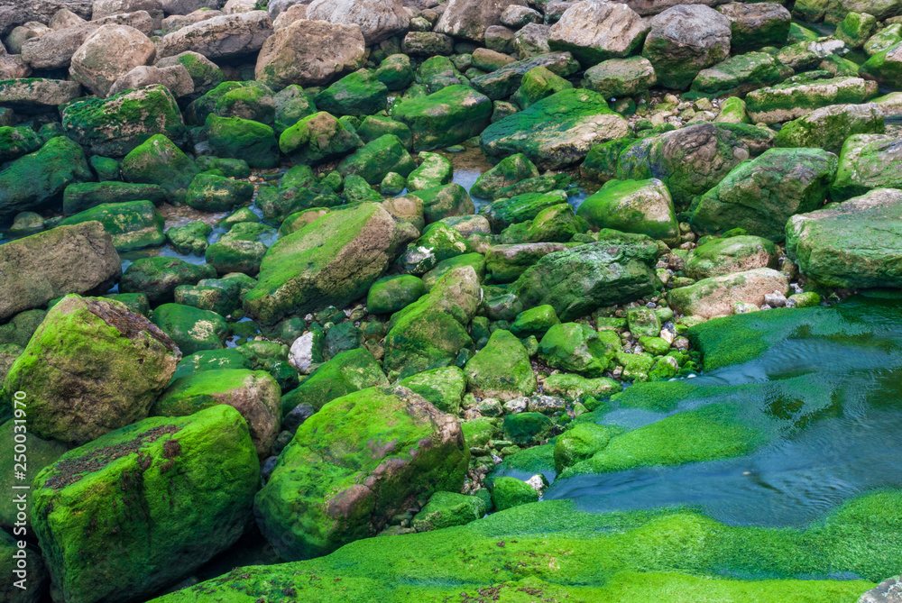Background with gray and green rocks with water