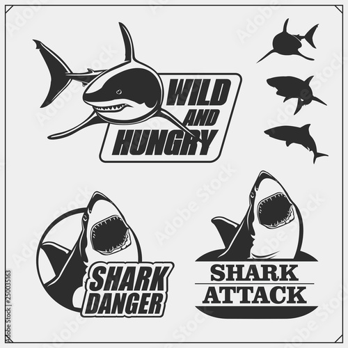 The emblem with shark for a sport team. Labels, icons and design elements. Print design for t-shirts.
