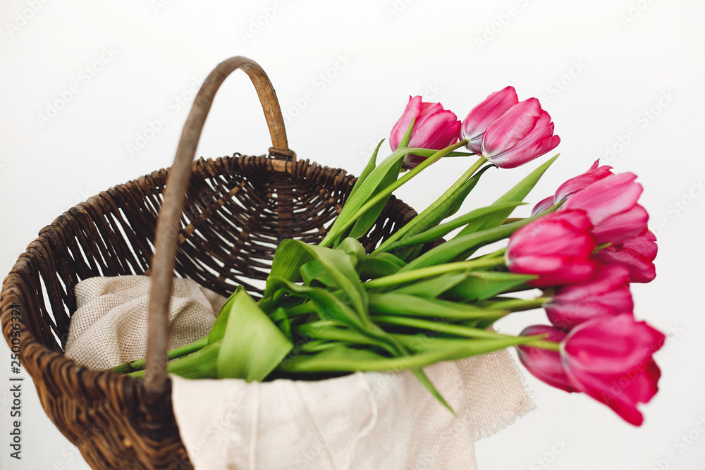 Stylish rustic wicker basket with fresh red tulips on white background. Copy space. Hello spring. Happy womens day. Happy mothers day. Valentine gift