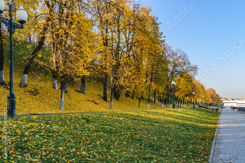 autumn in the park