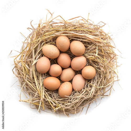 Top view of Chicken eggs in a nest on a white background.