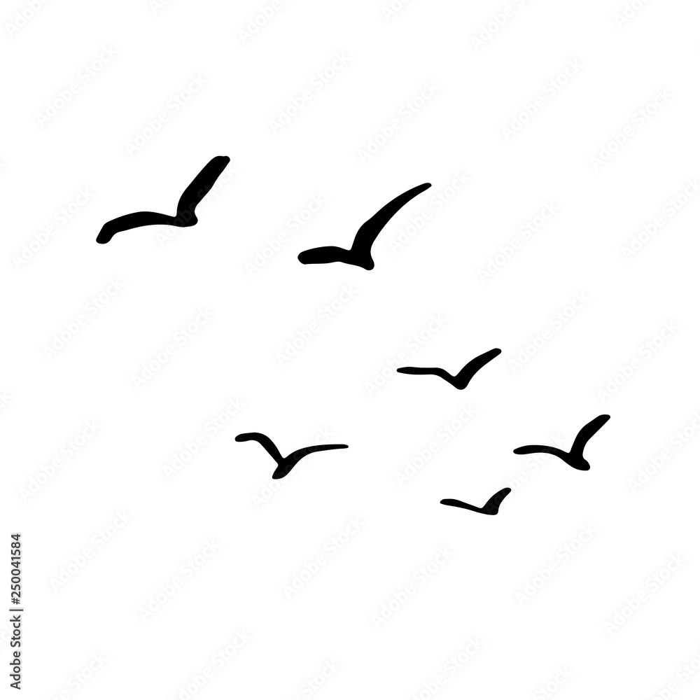 Fototapeta premium Flying flock of birds. Hand drawn brush vector illustration.
