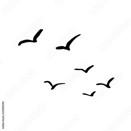 Flying flock of birds. Hand drawn brush vector illustration.