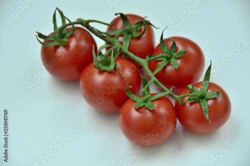 fresh tomatoes on the vine