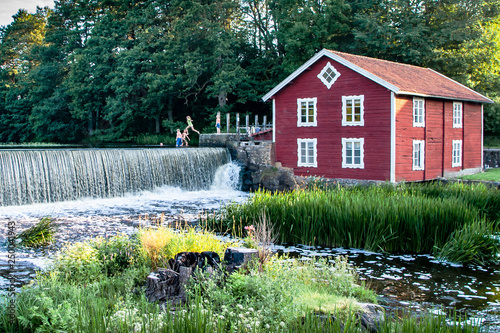 house in the forest photo