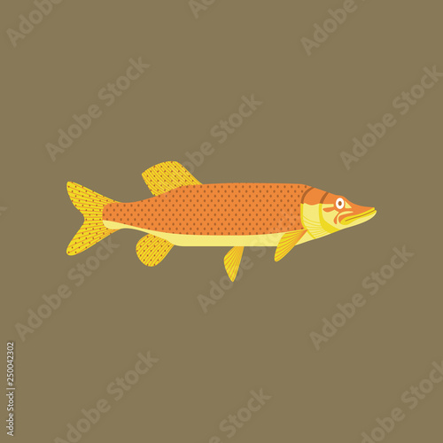 Vector illustration in flat style pike