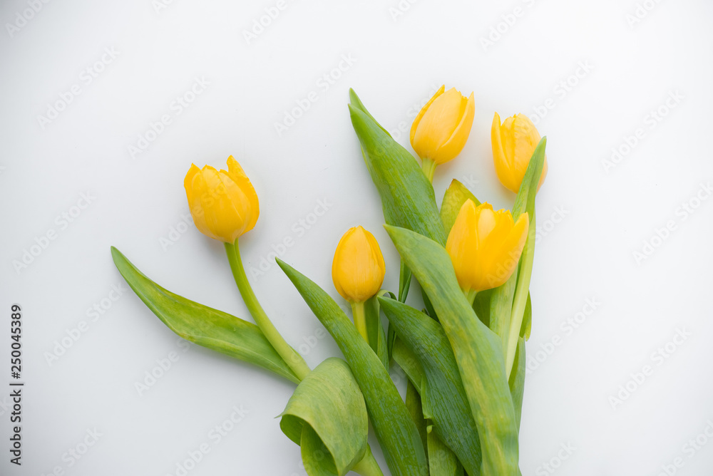 Naklejka premium A bouquet of fresh, beautiful tulips arranged on white, isolated background copy space