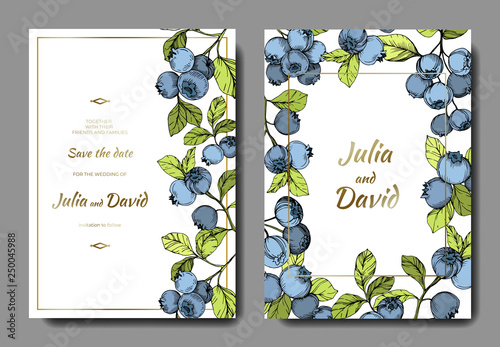 Vector Blueberry blue and green engraved ink art. Berries and green leaves. Wedding background card decorative border.