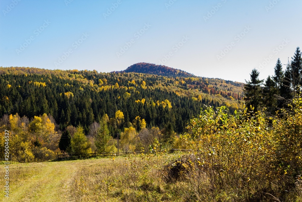 Lonely mountain in the autumn forest