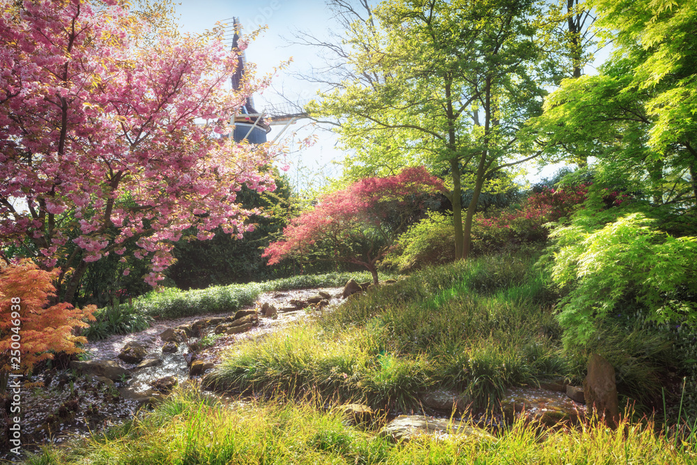 Spring landscape. Nature in blossom Spring landscape. Nature in blossom