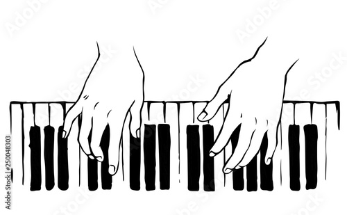 Hands on the keyboard. Vector drawing