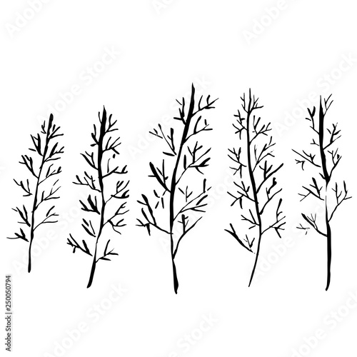 Naked trees silhouettes. Hand drawn set. Vector illustration.