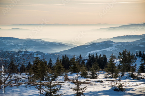 Mountain forest Winter