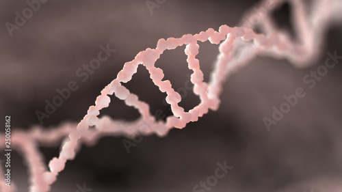DNA genetic material