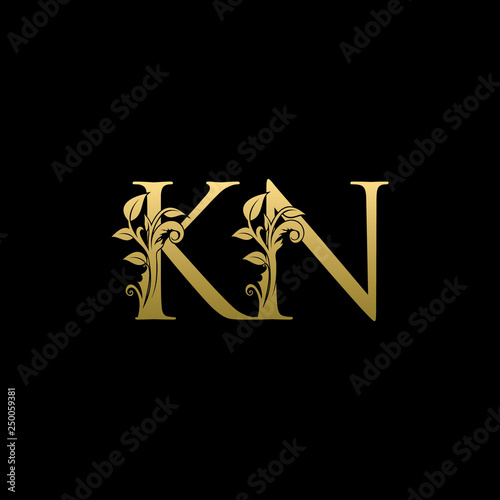 Golden Luxury KN Letter Logo