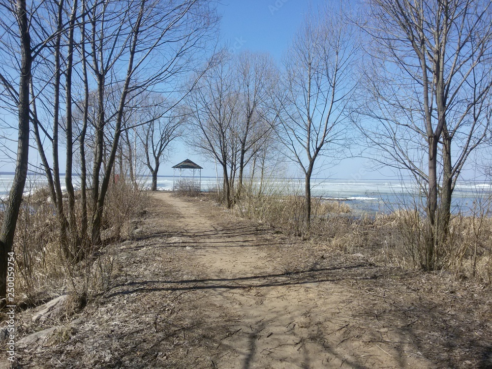 A cold gazebo under the cover of trees, in a winter Park on the shore of a picturesque lake covered with ice and snow, in the suburban town.