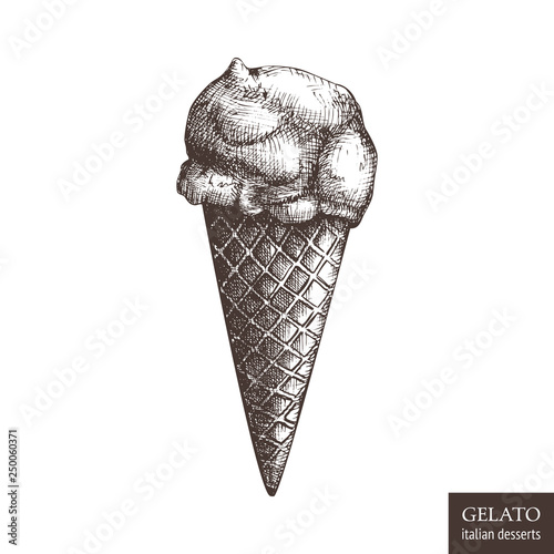 Hand drawn gelato illustration on white background. Vector Italian ice cream drawing. Vintage desserts sketch for cafe or restaurant menu design.
