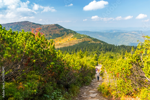 Fototapeta Naklejka Na Ścianę i Meble -  View from Babia Gora or Babi Hora, the highest summit in Beskids mountains in Poland and Slovakia border