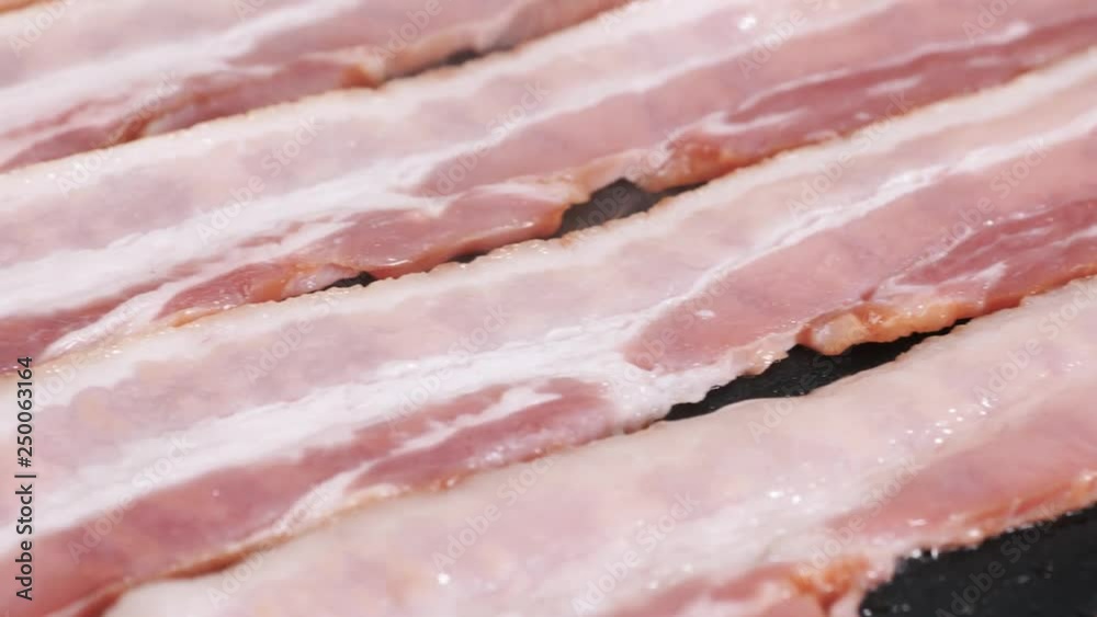 Panning Close Up Shot Of Frying Bacon On Hot Oily Pan. Close up view of uncooked bacon slices slowly cooking over a stove. Panning Close Up Shot Of Frying Bacon On Hot Oily Pan. Close up view of uncooked bacon slices slowly cooking over a stove.