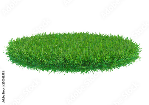 green grass piece isolated on white background. 3d rendering