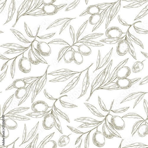 Seamless pattern with Olive branches