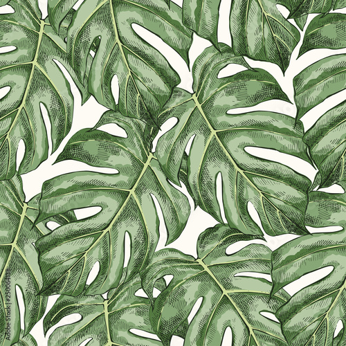 Monstera leaves hand drawn seamless color pattern
