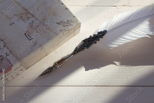 Принти на полотні Old style retro feather for writing at white wooden background,  writing materia