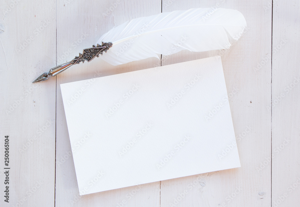 Blank album sheet for your text, copy past and mock up for your romantic and poetry design. Vintage feather, old style, writing materials - obrazy, fototapety, plakaty 