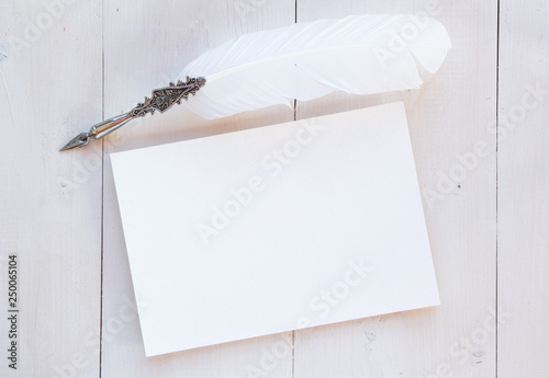Blank album sheet for your text, copy past and mock up for your romantic and poetry design. Vintage feather, old style, writing materials