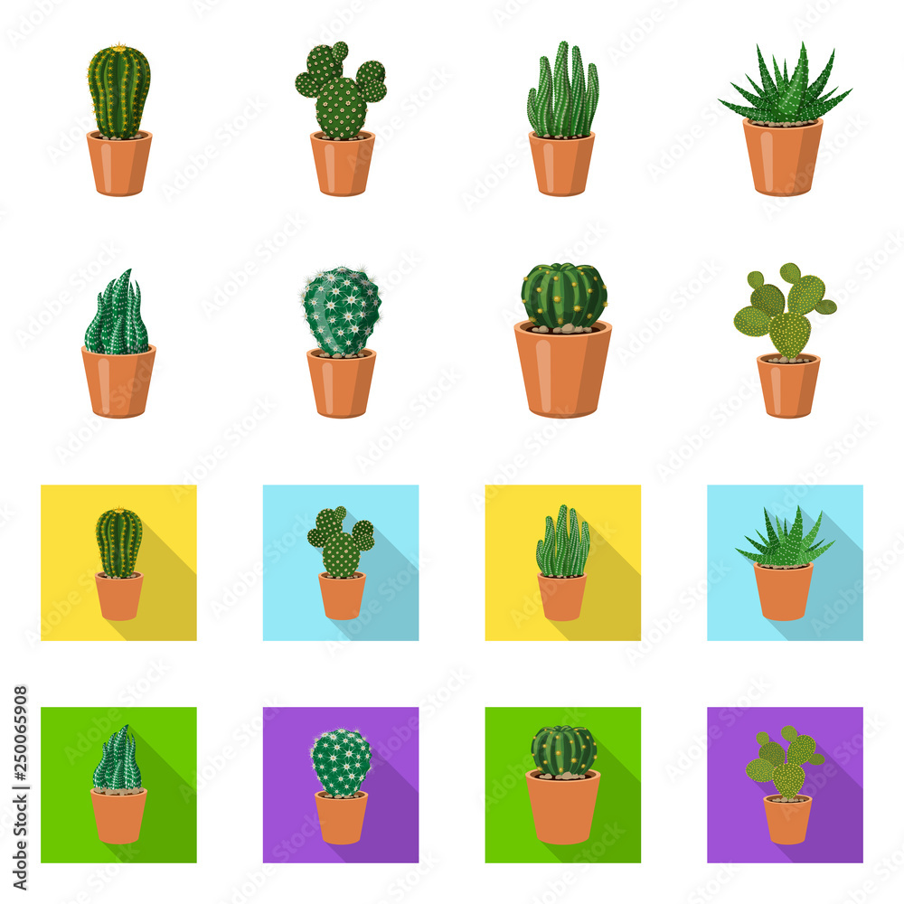 Isolated object of cactus and pot symbol. Set of cactus and cacti vector icon for stock. Isolated object of cactus and pot symbol. Set of cactus and cacti vector icon for stock.