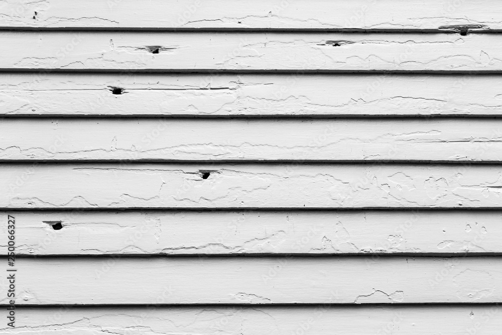 Obraz premium Civil War park