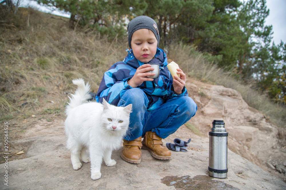 boy with a white kitten, a picnic on the stone boy with a white kitten, a picnic on the stone