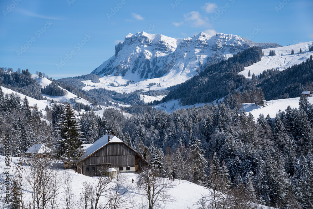 Winterlandschaft mit Bergwald und Bergmassif (Hohgant) in den Berner Voralpen