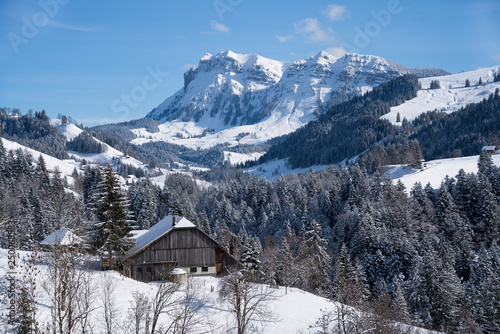 Winterlandschaft mit Bergwald und Bergmassif (Hohgant) in den Berner Voralpen © berner51