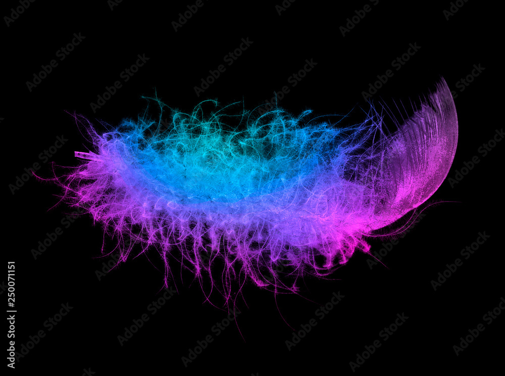 Neon light fluffy feather in the vivid trendy fluorescent colors on black background. Neon light fluffy feather in the vivid trendy fluorescent colors on black background.