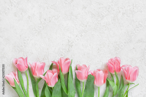 White textured background with fresh tulips