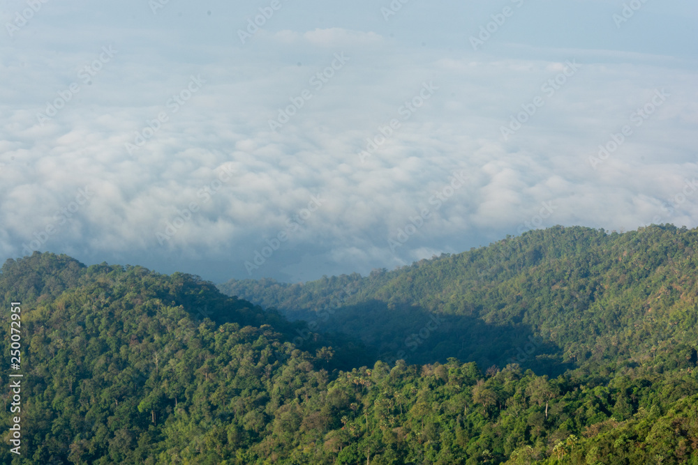 beautiful sky and green tree on top of the mountain at Kanchanaburi, Thailand