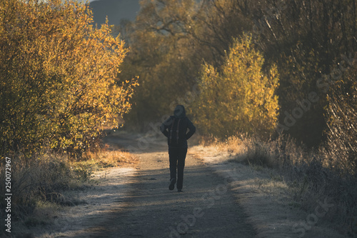 Person walking in forest at autumn New Zealand