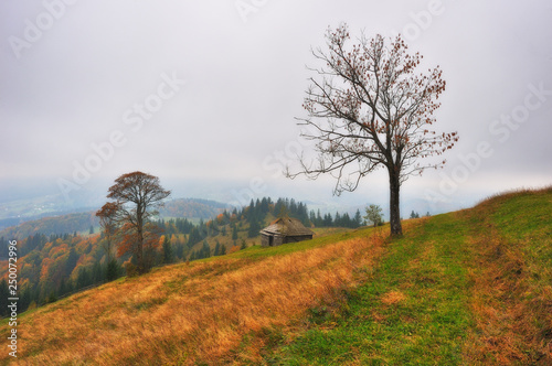 autumn evening in the Carpathian mountains. scenic sunset