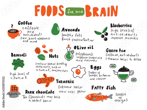 Food for your brain. Doodle illustration of different healthy food and nutrition facts. Made in vector.