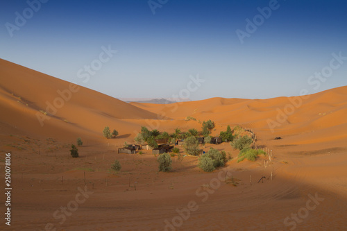 Bedouin camp in the desert