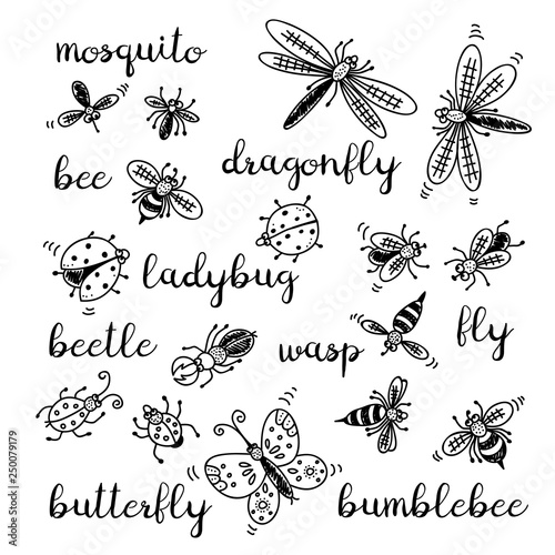 Insects doodle set, vector collection isolated on white background