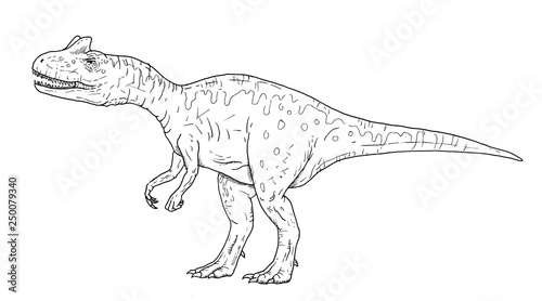 Drawing of predatory dinosaur - hand sketch of Allosaurus, black and white illustration