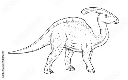 Drawing of dinosaur - hand sketch of parasaurolophus, black and white illustration