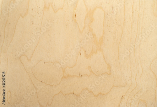 Photography Wood floor abstract background texture. Beige seamless pattern
