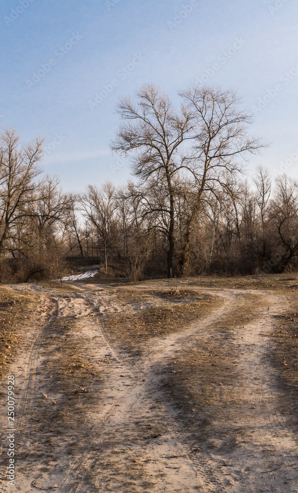 Dirt road and spring meadow. Weather in early spring Dirt road and spring meadow. Weather in early spring