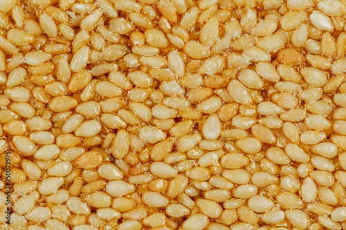 Kozinaki from golden, roasted sesame seeds as a background, texture, filled with shiny molasses. photo